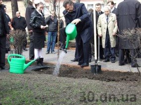Рябину, посаженную Виктором Януковичем, заменили. Его дерево усохло (фото)