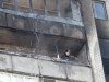 Пожар в Сумах: 1 погибший и трое госпитализированных (фото)