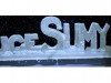 Ice Sumy. В Сумах презентуют ледовые скульптуры (Фото+видео)