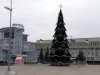 Сумчан приглашают на открытие главной елки города
