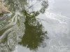 У Сумах не зафіксували забруднення води у Пслі в районі Баранівки