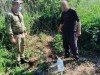 На Сумщині прикордонники виявили незаконний посів конопель