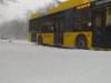 У Сумах тролейбуси частково припинили рух