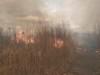 На Сумщині п’ять разів ліквідовували загоряння сухої рослинності (Відео)