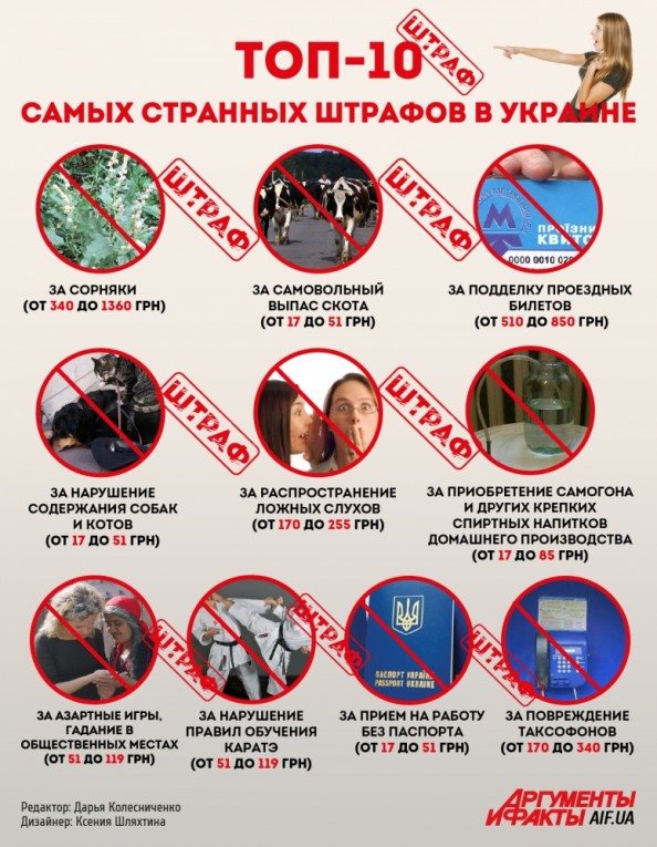 Топ-10 самых странных штрафов в Украине (инфографика)