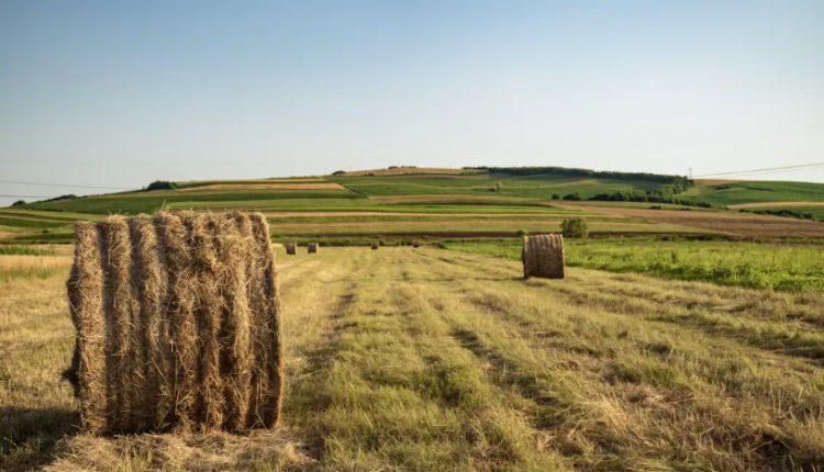 Шпагат для тюків